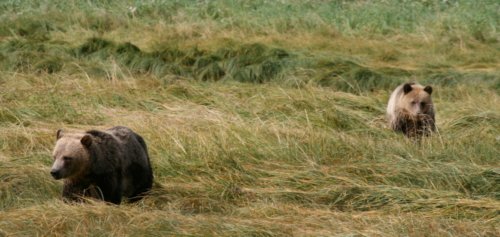 10116274686 0c25110387 o