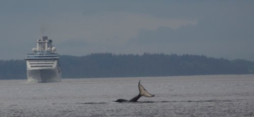 10116342573 80983c8eb7 o 2