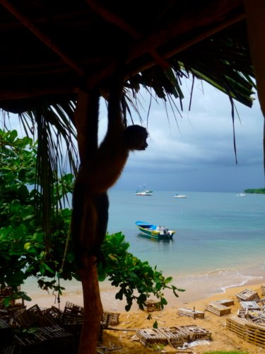 10116344796 1180ab27cf o