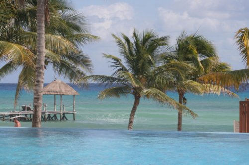 10116662243 7b0051d4b9 o