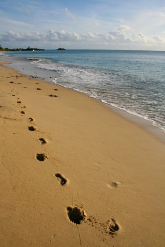 10116744445 9685fcd7e1 o