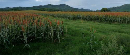 10116760476 151374925c o