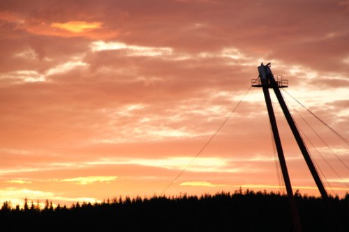 10117531285 a17fd54b2b o