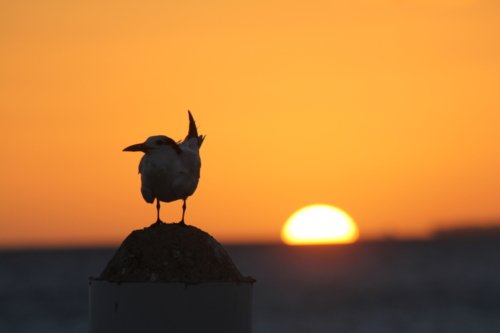 11521534765 6b1b08c2a5 o