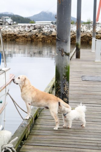 Photo 2013-06-01, 12 30 35 PM