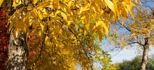 Photo 2014-10-10, 12 45 06 PM