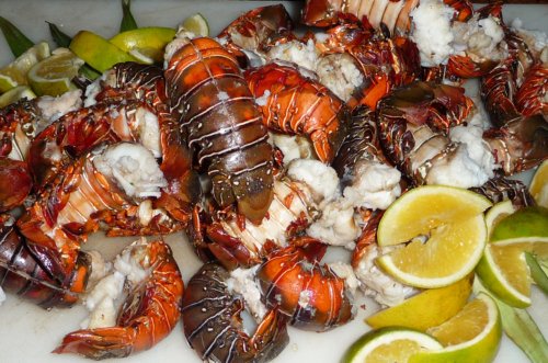 nicaraguanlobsterfest